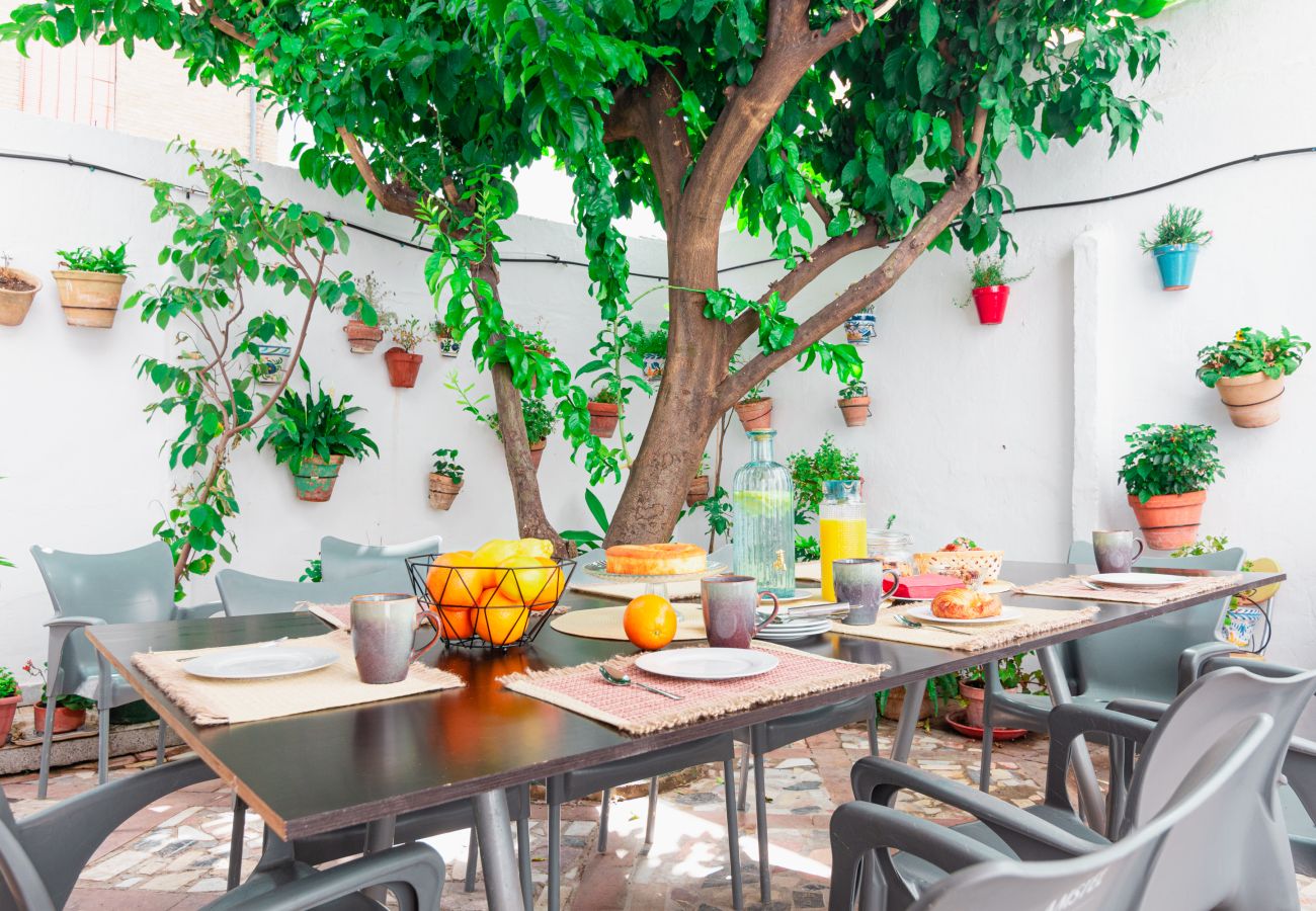 Apartamento en Sevilla - Edomus El Patio del Limonero