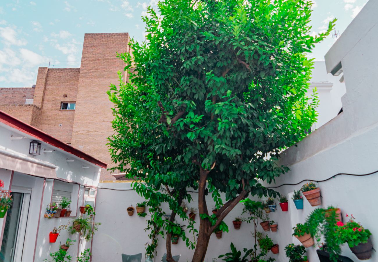 Apartamento en Sevilla - Edomus El Patio del Limonero