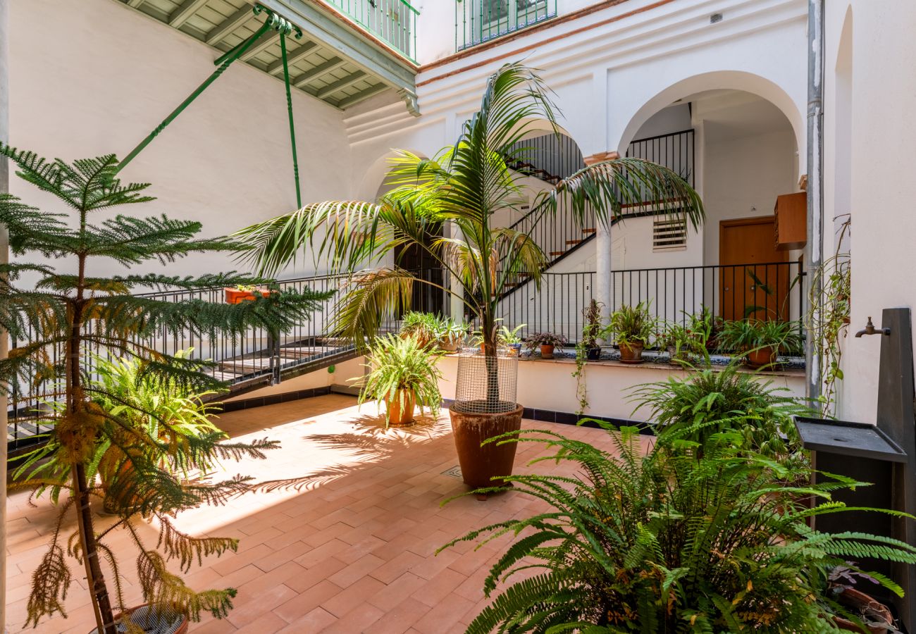 Apartment in Seville - Edomus San Jacinto Duplex